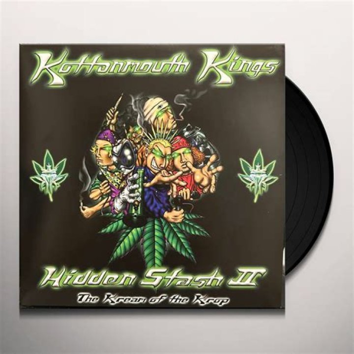 How Did Rapper Saint Dog KMK Die? Age, Wiki, Bio of Death, Net Worth, Kottonmouth Kings Dead