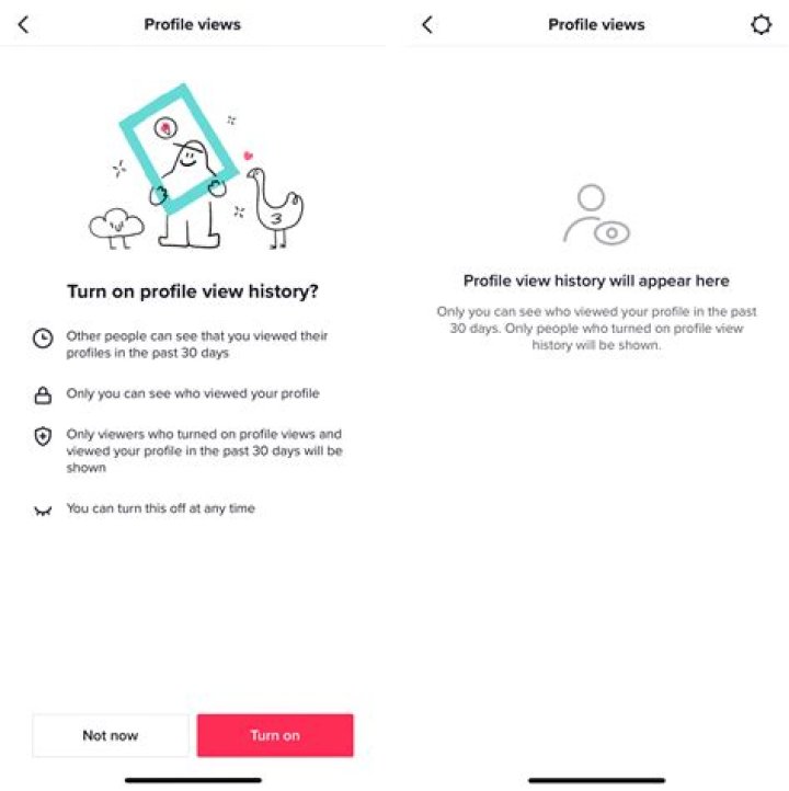 
How Does Profile View History Work On Tiktok? Here Is A Step By Step Guide On How To Use The Feature 