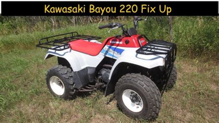 How fast does a kawasaki bayou 220 go