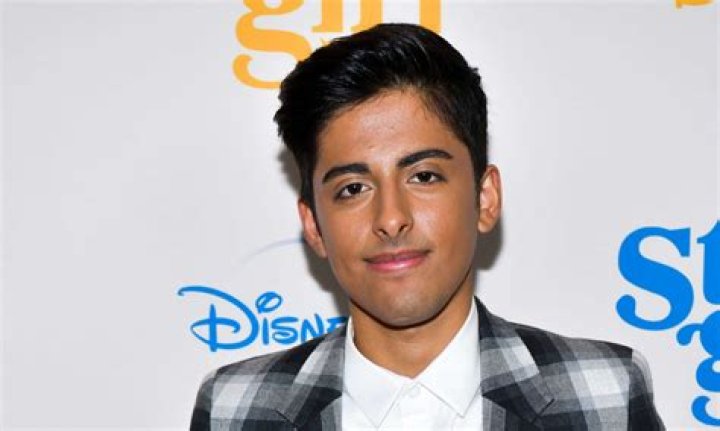 Is Karan Brar gay or bisexual?
