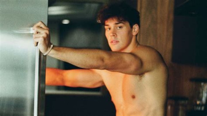 Is Noah Beck Bi? Find Details On Noah Beck Sexuality and Gay Rumors