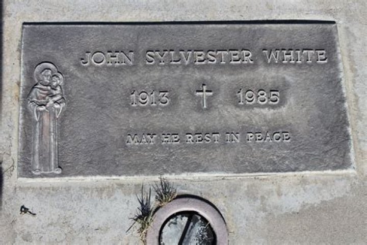 John Sylvester White