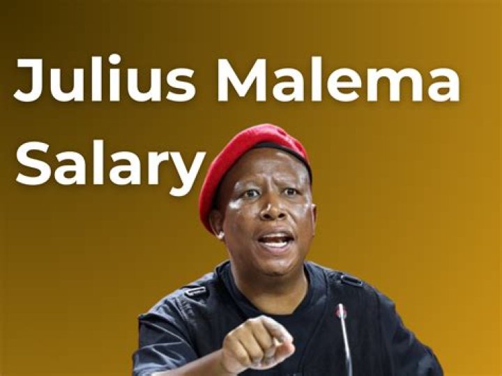 Julius Malema Net Worth