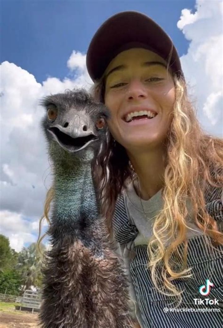 Knuckle Bump Farms Viral Video On Tiktok, What Is Emmanuel The Emu Sensation All About?
