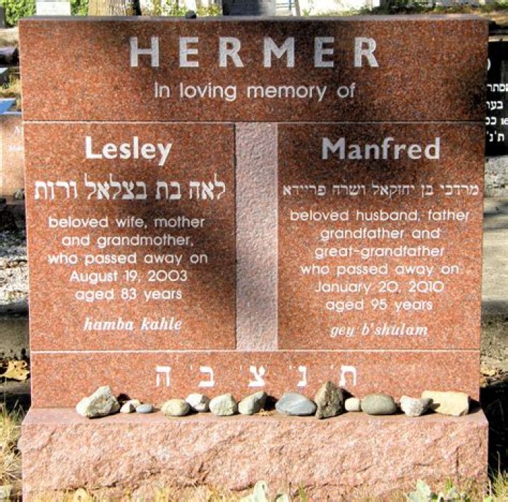 Manfred Hermer’s biography, net worth, fact, career, awards and life story