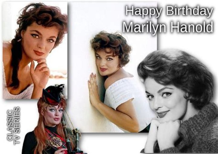 Marilyn Hanold Net Worth