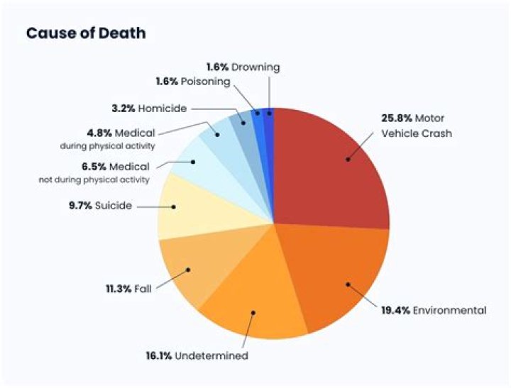 Matthew Kyrillidis Car Accident: Cause of Death – What Happened?
