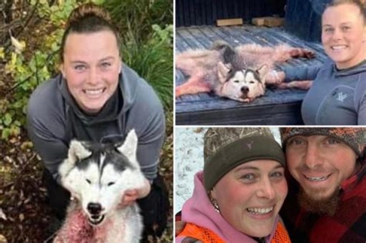 
Montana woman Amber Rose kills, skins Husky after mistaking it for wolf 