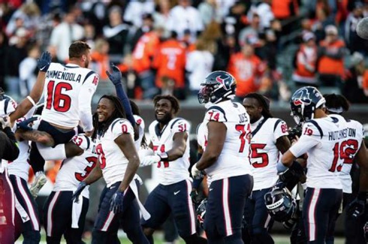 NFL: Is The Football Kicker Matt Ammendola Related To Danny Amendola? Everything To Know