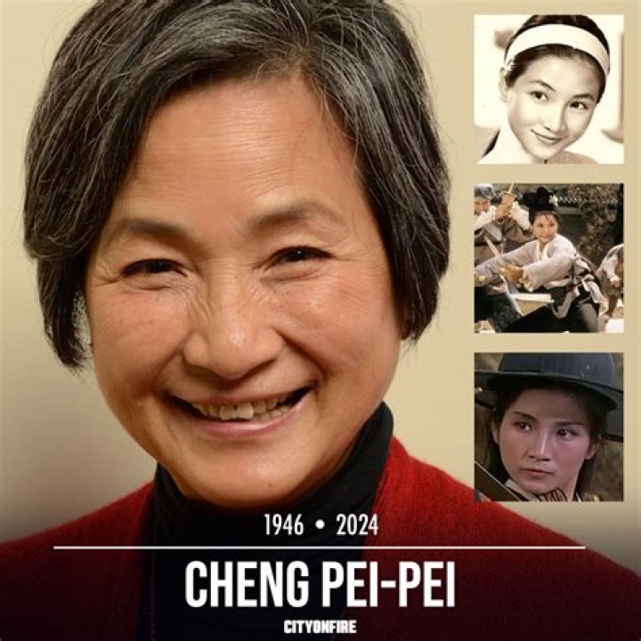 Pei-Pei Cheng Net Worth