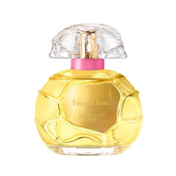 Rare Essence Net Worth