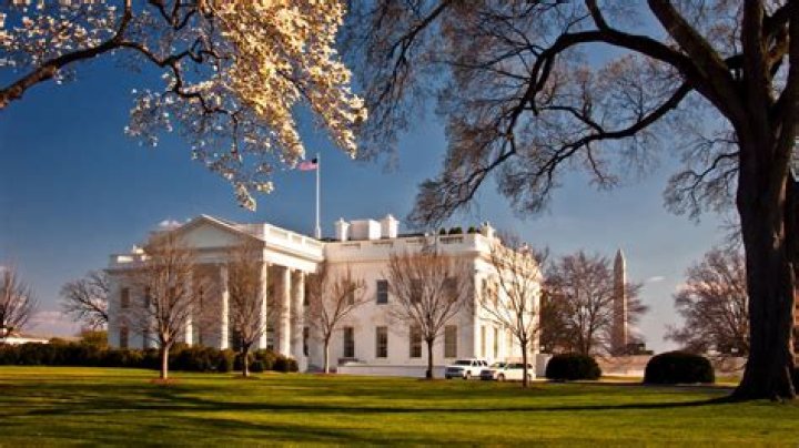 Ted Travelstead Net Worth