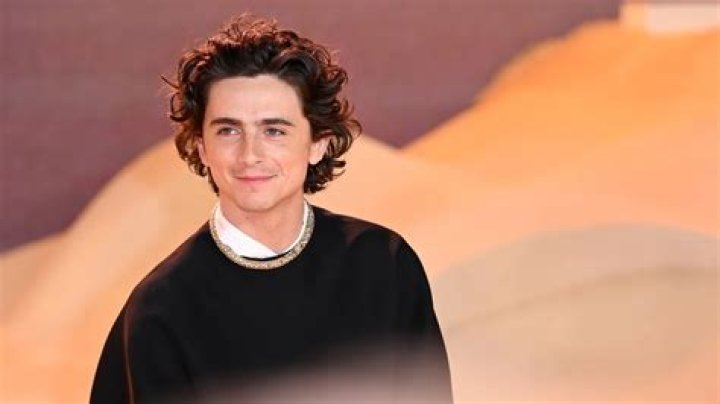 Timothée Chalamet Height, Age, Boyfriend, Biography, Wiki, Net Worth