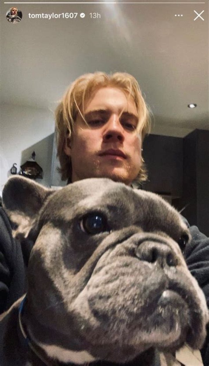 
Tom Taylor Height, Weight, Net Worth, Age, Birthday, Wikipedia, Who, Instagram, Biography 