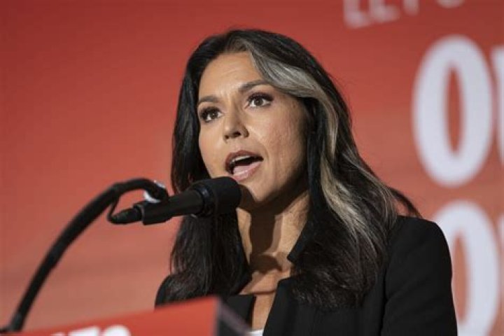 Is Tulsi Gabbard’s Net Worth Around $500,000? Let’s Find Out: