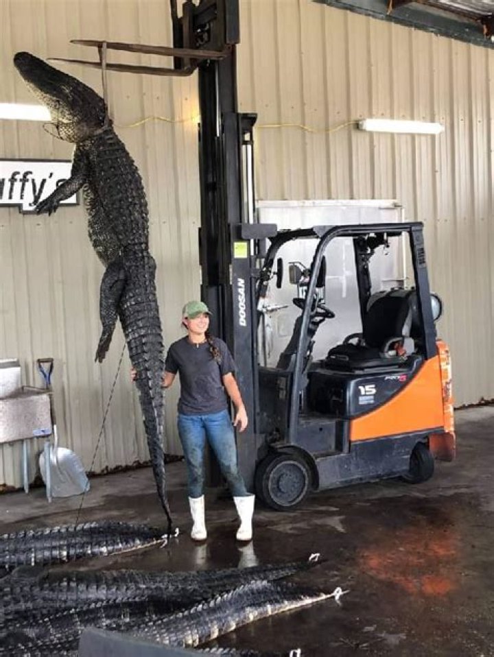 Vector Viper Height, Weight, Net Worth, Age, Birthday, Wikipedia, Who, Instagram, Biography