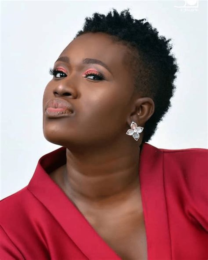 WARRI PIKIN BIOGRAPHY, EDUCATION, CARRER, CONTROVERSIES AND NETWORTH