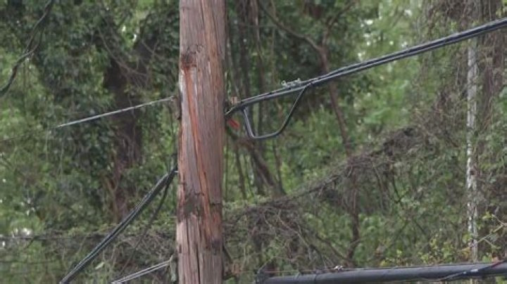 
Was Rick Lunn Electrocuted To Death? Obituary, Wife And Net Worth 