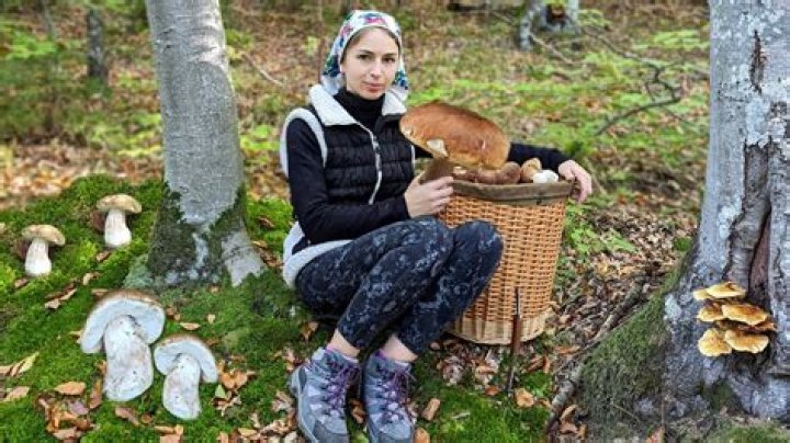 
What Happened To Lois Chartrand? Missing Saskatchewan Mushroom Picker Found Dead Recently 