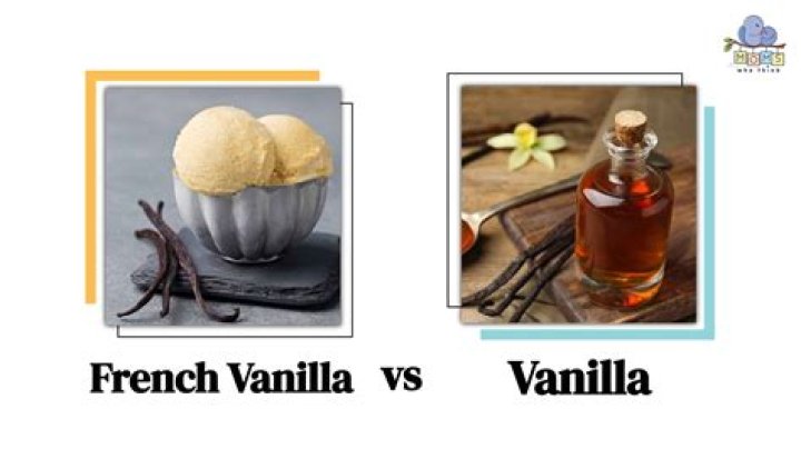 Whats the difference between vanilla and french vanilla flavor