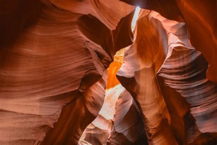 Where Is Hero Kanu Originally From? Details To Know About The Athlete