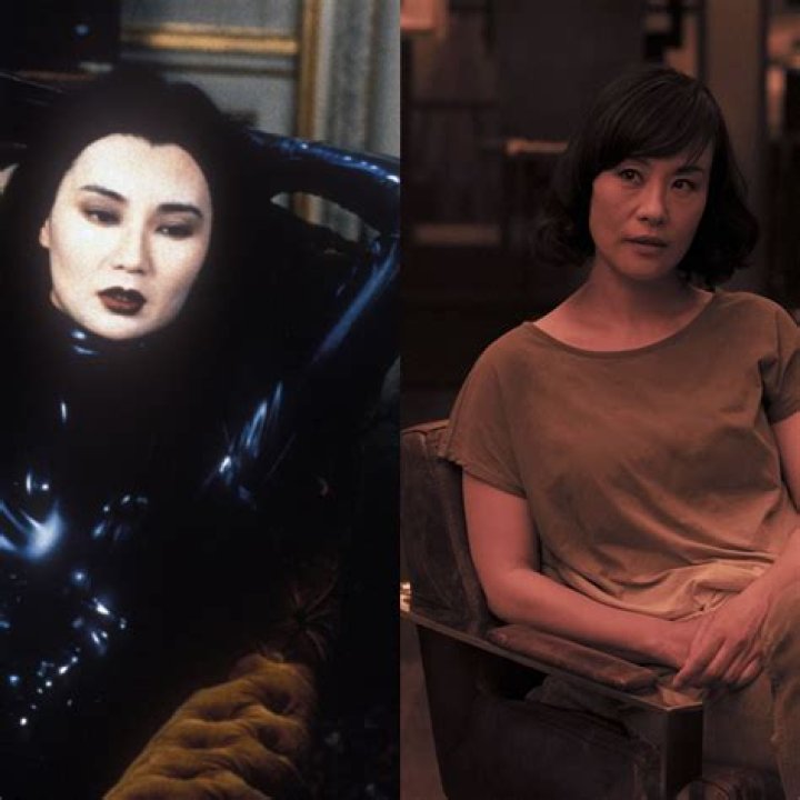 
Where Is Irma Vep Actress Maggie Cheung Now? Her History With Tony Leung And Current Dating Status 