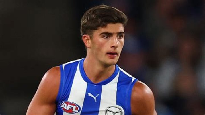 
Who are Harry Sheezels Parents? Harry Sheezel Biography, Parents Name, Nationality and More 