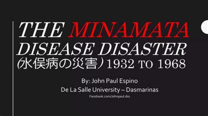 Who Is Akiko Iwase? Everything To Know About The Cast Of Minamata