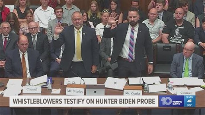 
Who is Joseph Ziegler? IRS whistleblower claims Hunter Biden tax felony probe obstructed by DOJ 