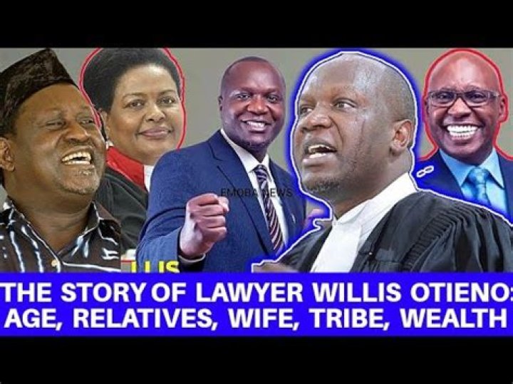 
Who is Willis Otieno? Lawyer Willis Uses Funny Analogy in Court 