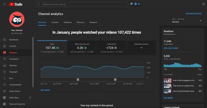YoBoy PIZZA video statistics